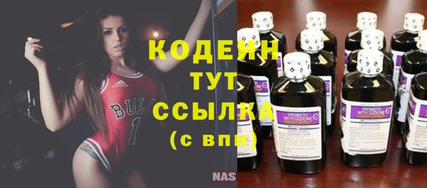 PSILOCYBIN Белокуриха