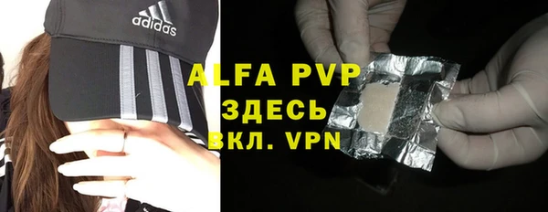 PSILOCYBIN Белокуриха