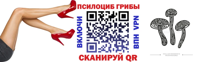 Псилоцибиновые грибы мицелий  где продают   Мариинский Посад 